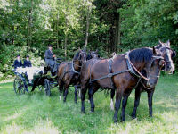 Kutschfahrten in der Oberlausitz